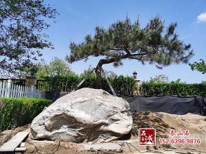 庭院摆放好色AV导航有什么讲究
